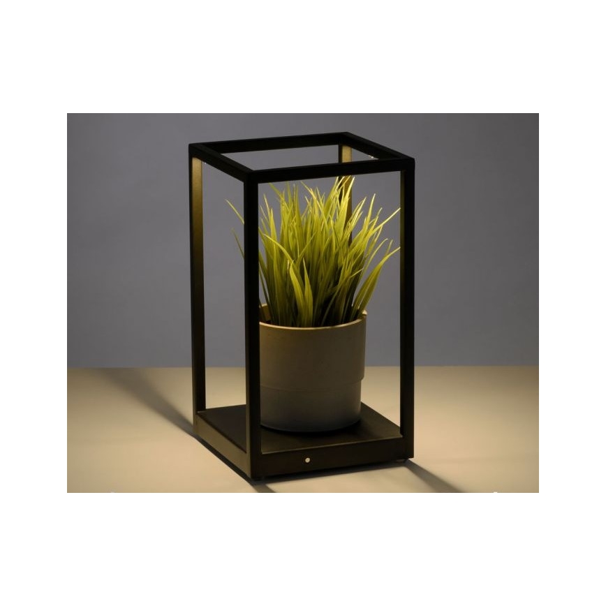 Paul Neuhaus 4401-18 - LED Hämardatav laualamp CONTURA 2xLED/2,2W/230V