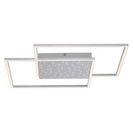 Paul Neuhaus 6024-55 - LED Hämardatav pinnale kinnitatav lühter YUKI LED/49W/230V + Pult