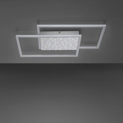 Paul Neuhaus 6024-55 - LED Hämardatav pinnale kinnitatav lühter YUKI LED/49W/230V + Pult