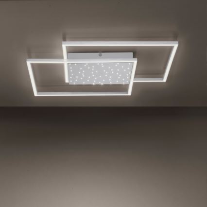 Paul Neuhaus 6024-55 - LED Hämardatav pinnale kinnitatav lühter YUKI LED/49W/230V + Pult