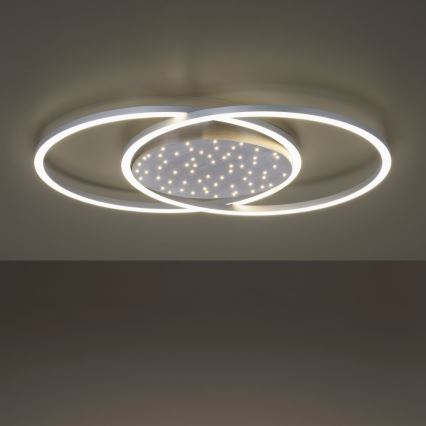 Paul Neuhaus 6025-55 - LED Hämardatav laevalgusti YUKI LED/48W/230V + pult