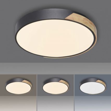 Paul Neuhaus 6071-18 - LED Hämardatav laevalgusti Q-PIATO LED/35W/230V d. 51 cm 2700-5000K Wi-Fi + kaugjuhtimispult