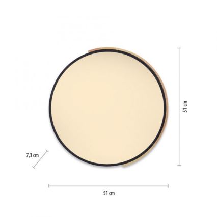 Paul Neuhaus 6071-18 - LED Hämardatav laevalgusti Q-PIATO LED/35W/230V d. 51 cm 2700-5000K Wi-Fi + kaugjuhtimispult