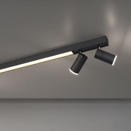 Paul Neuhaus 6121-13 - LED Hämardatav kohtvalgusti PURE 4xLED/4W/230V + LED/9W 2700-5000K + kaugjuhtimispult