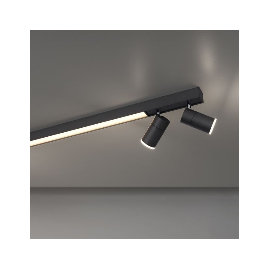 Paul Neuhaus 6121-13 - LED Hämardatav kohtvalgusti PURE 4xLED/4W/230V + LED/9W 2700-5000K + kaugjuhtimispult