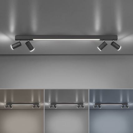 Paul Neuhaus 6121-13 - LED Hämardatav kohtvalgusti PURE 4xLED/4W/230V + LED/9W 2700-5000K + kaugjuhtimispult