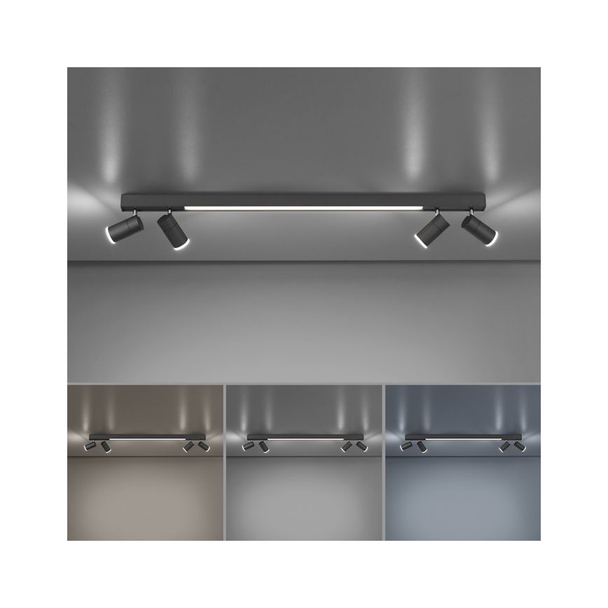 Paul Neuhaus 6121-13 - LED Hämardatav kohtvalgusti PURE 4xLED/4W/230V + LED/9W 2700-5000K + kaugjuhtimispult
