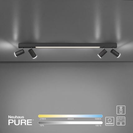 Paul Neuhaus 6121-13 - LED Hämardatav kohtvalgusti PURE 4xLED/4W/230V + LED/9W 2700-5000K + kaugjuhtimispult