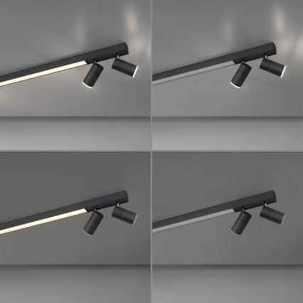 Paul Neuhaus 6121-13 - LED Hämardatav kohtvalgusti PURE 4xLED/4W/230V + LED/9W 2700-5000K + kaugjuhtimispult