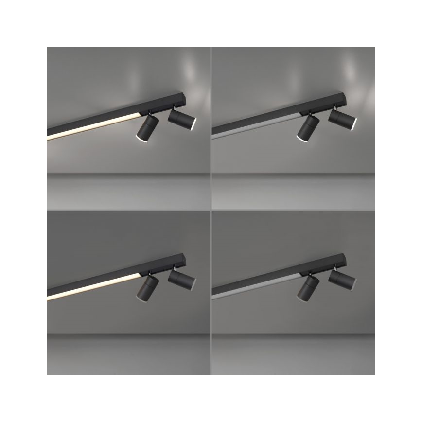 Paul Neuhaus 6121-13 - LED Hämardatav kohtvalgusti PURE 4xLED/4W/230V + LED/9W 2700-5000K + kaugjuhtimispult