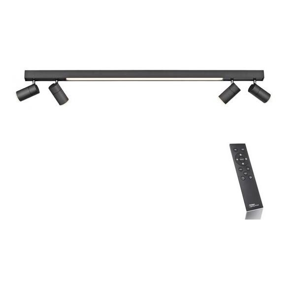 Paul Neuhaus 6121-13 - LED Hämardatav kohtvalgusti PURE 4xLED/4W/230V + LED/9W 2700-5000K + kaugjuhtimispult