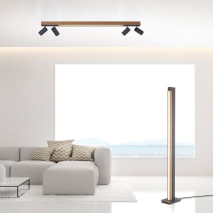Paul Neuhaus 6121-79 - LED Hämardatav kohtvalgusti PURE 4xLED/4W/230V + LED/9W 2700-5000K + kaugjuhtimispult