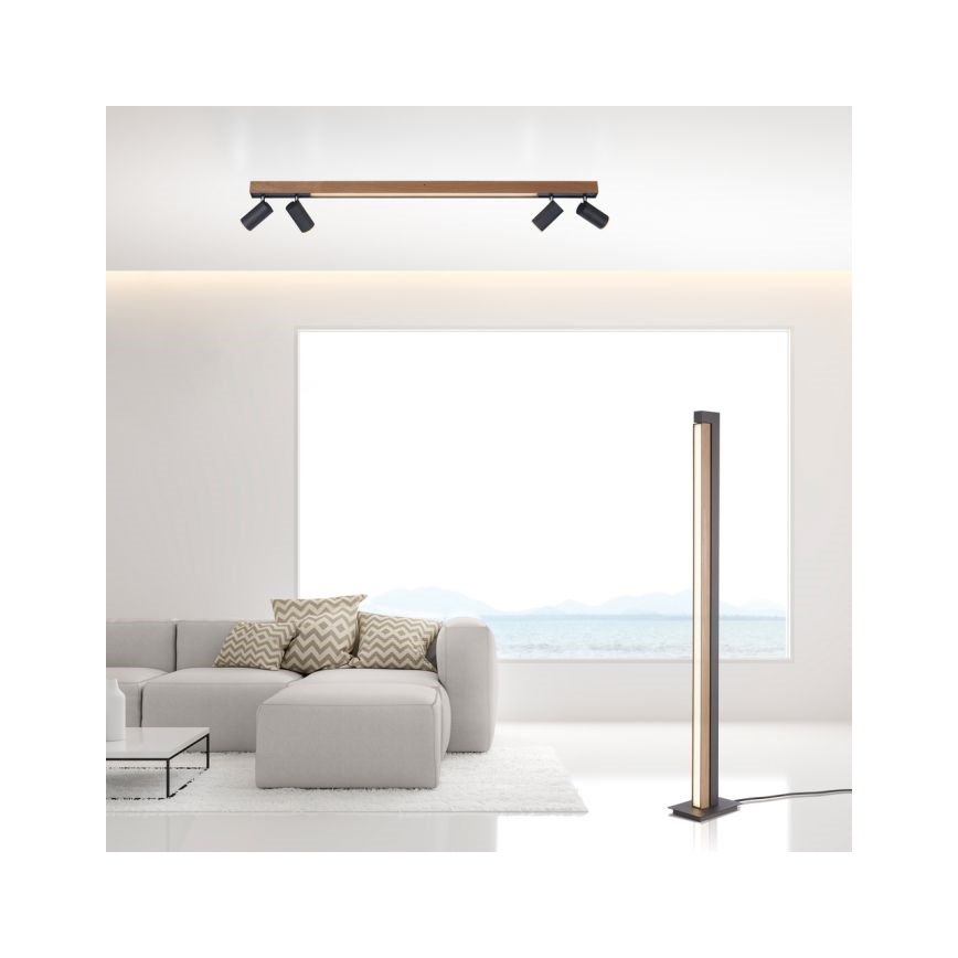 Paul Neuhaus 6121-79 - LED Hämardatav kohtvalgusti PURE 4xLED/4W/230V + LED/9W 2700-5000K + kaugjuhtimispult