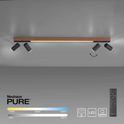 Paul Neuhaus 6121-79 - LED Hämardatav kohtvalgusti PURE 4xLED/4W/230V + LED/9W 2700-5000K + kaugjuhtimispult