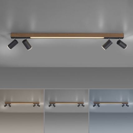 Paul Neuhaus 6121-79 - LED Hämardatav kohtvalgusti PURE 4xLED/4W/230V + LED/9W 2700-5000K + kaugjuhtimispult