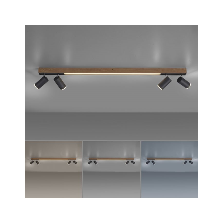 Paul Neuhaus 6121-79 - LED Hämardatav kohtvalgusti PURE 4xLED/4W/230V + LED/9W 2700-5000K + kaugjuhtimispult