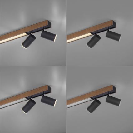 Paul Neuhaus 6121-79 - LED Hämardatav kohtvalgusti PURE 4xLED/4W/230V + LED/9W 2700-5000K + kaugjuhtimispult