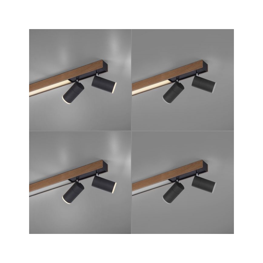 Paul Neuhaus 6121-79 - LED Hämardatav kohtvalgusti PURE 4xLED/4W/230V + LED/9W 2700-5000K + kaugjuhtimispult