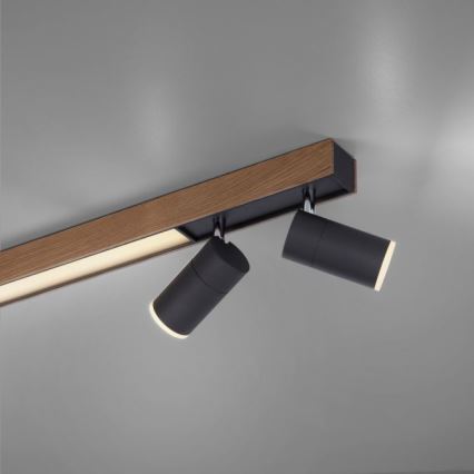 Paul Neuhaus 6121-79 - LED Hämardatav kohtvalgusti PURE 4xLED/4W/230V + LED/9W 2700-5000K + kaugjuhtimispult