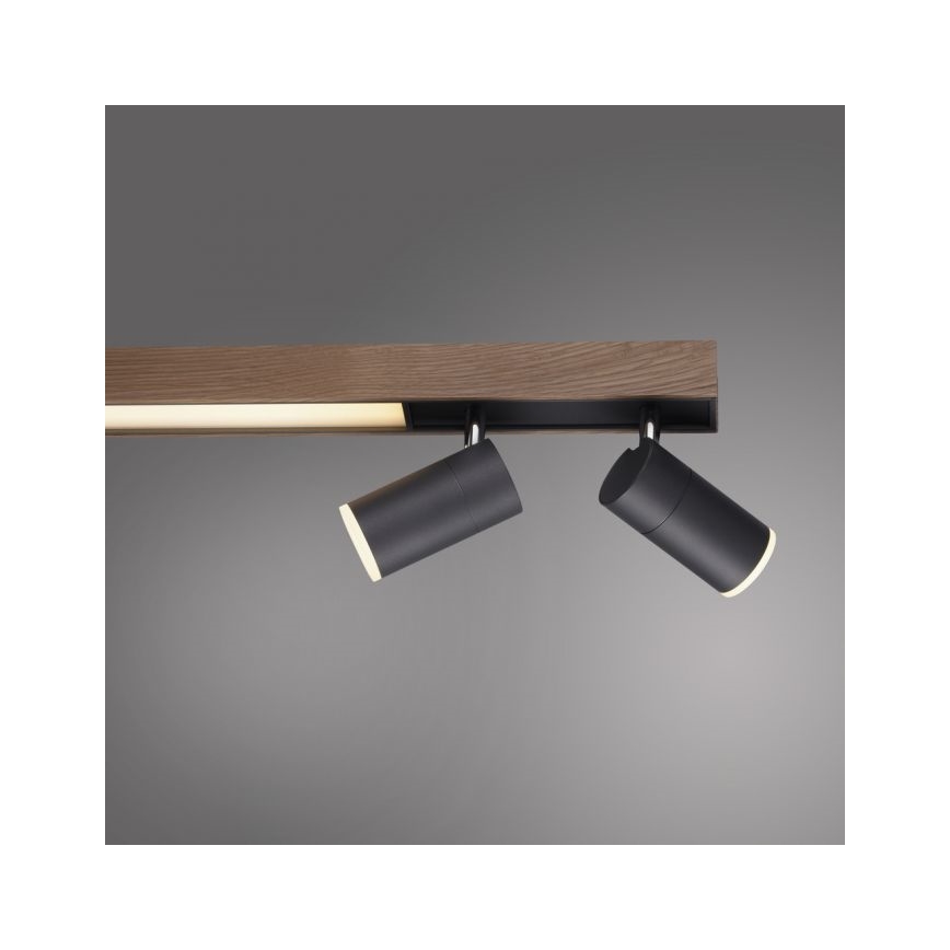Paul Neuhaus 6121-79 - LED Hämardatav kohtvalgusti PURE 4xLED/4W/230V + LED/9W 2700-5000K + kaugjuhtimispult