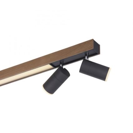 Paul Neuhaus 6121-79 - LED Hämardatav kohtvalgusti PURE 4xLED/4W/230V + LED/9W 2700-5000K + kaugjuhtimispult