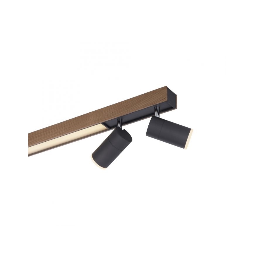 Paul Neuhaus 6121-79 - LED Hämardatav kohtvalgusti PURE 4xLED/4W/230V + LED/9W 2700-5000K + kaugjuhtimispult