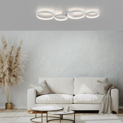Paul Neuhaus 6183-16 - LED Hämardatav laevalgusti KIRINGE LED/26W/230V