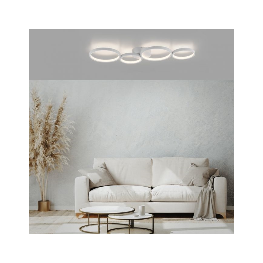 Paul Neuhaus 6183-16 - LED Hämardatav laevalgusti KIRINGE LED/26W/230V