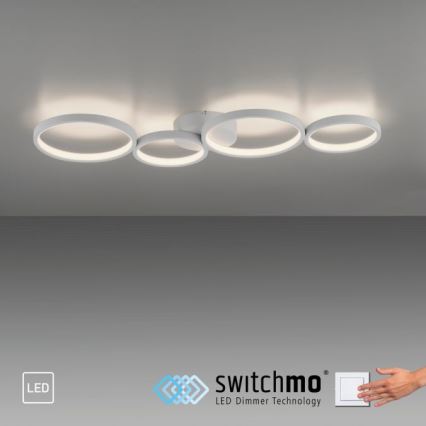 Paul Neuhaus 6183-16 - LED Hämardatav laevalgusti KIRINGE LED/26W/230V