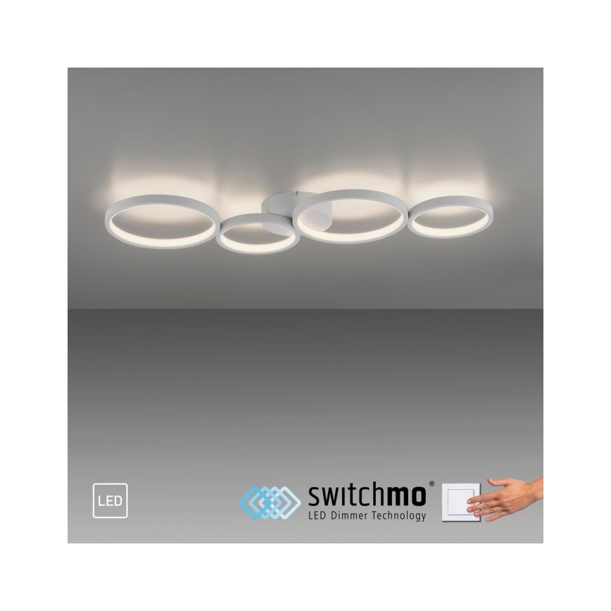 Paul Neuhaus 6183-16 - LED Hämardatav laevalgusti KIRINGE LED/26W/230V