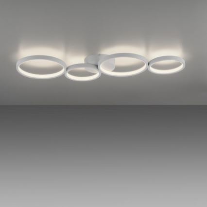 Paul Neuhaus 6183-16 - LED Hämardatav laevalgusti KIRINGE LED/26W/230V