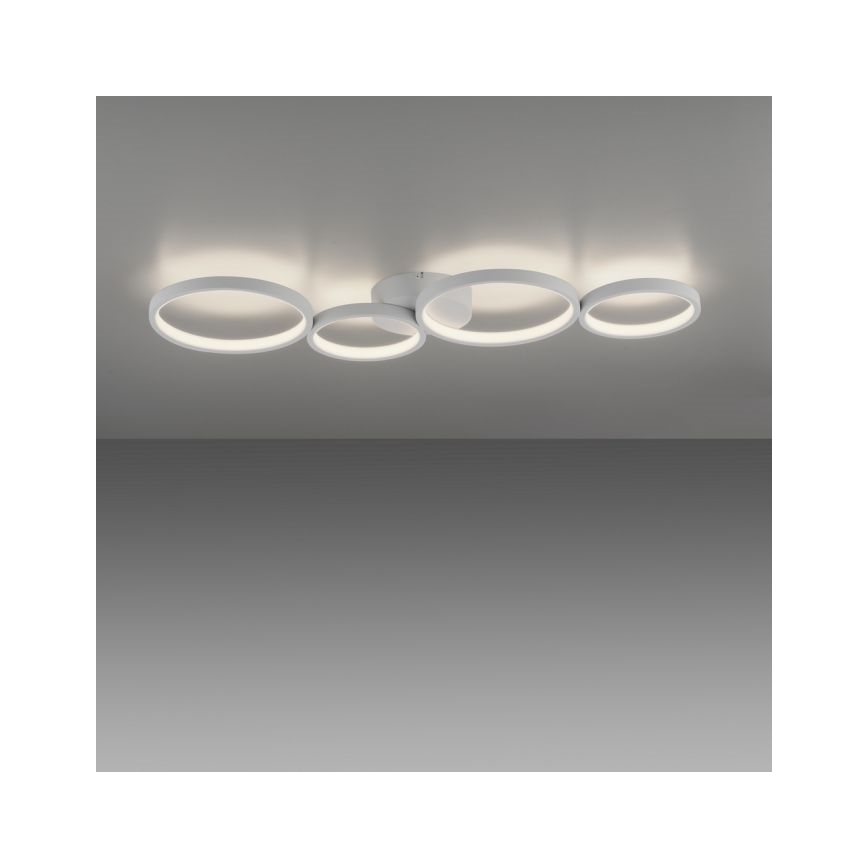 Paul Neuhaus 6183-16 - LED Hämardatav laevalgusti KIRINGE LED/26W/230V
