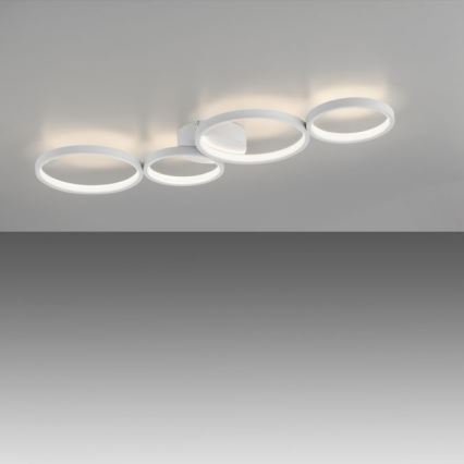Paul Neuhaus 6183-16 - LED Hämardatav laevalgusti KIRINGE LED/26W/230V