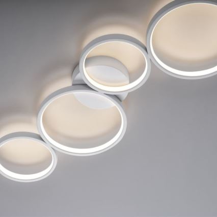 Paul Neuhaus 6183-16 - LED Hämardatav laevalgusti KIRINGE LED/26W/230V