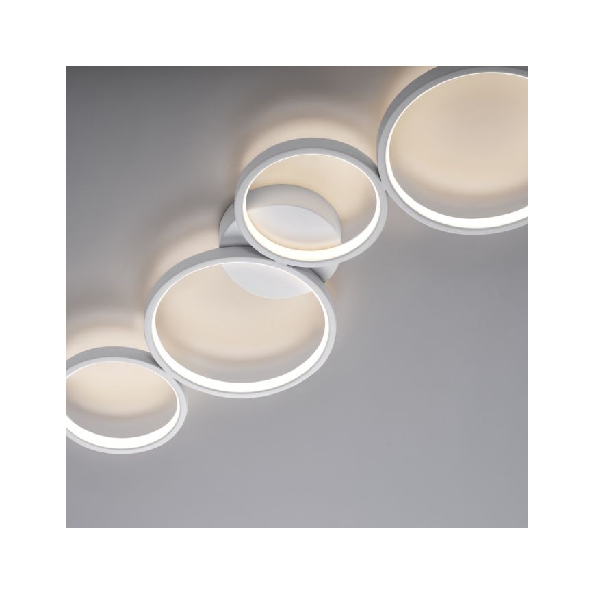 Paul Neuhaus 6183-16 - LED Hämardatav laevalgusti KIRINGE LED/26W/230V