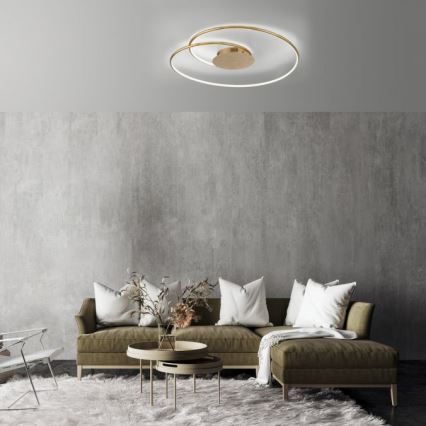 Paul Neuhaus 6189-12 - LED Hämardatav laevalgusti NASTRO LED/26W/230V