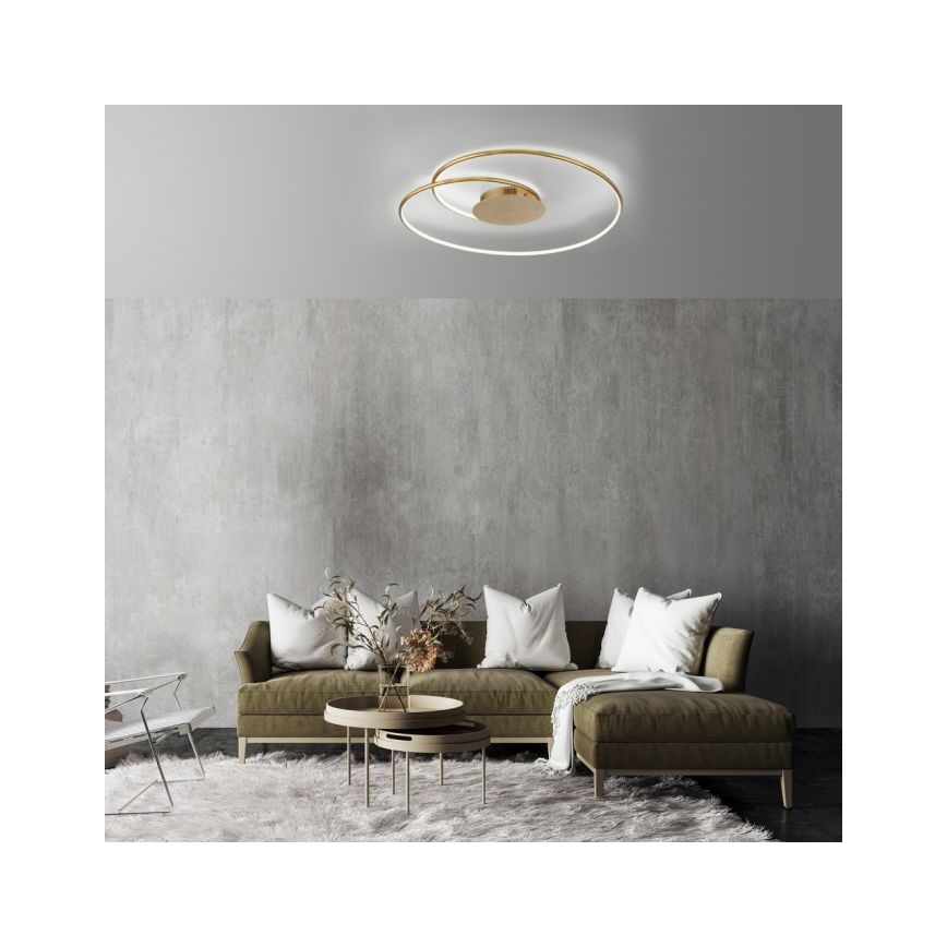 Paul Neuhaus 6189-12 - LED Hämardatav laevalgusti NASTRO LED/26W/230V