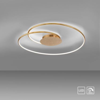 Paul Neuhaus 6189-12 - LED Hämardatav laevalgusti NASTRO LED/26W/230V