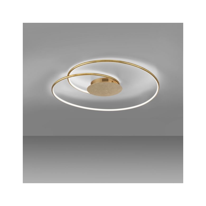 Paul Neuhaus 6189-12 - LED Hämardatav laevalgusti NASTRO LED/26W/230V