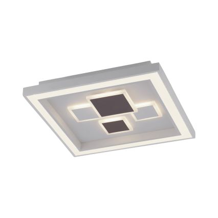 Paul Neuhaus 6283-16 - LED Hämardatav valgusti ELIZA LED/30W/230V + LED/18,5W