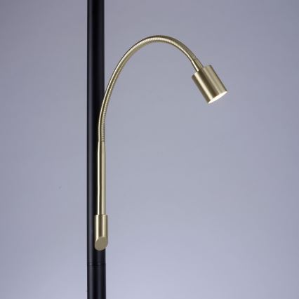 Paul Neuhaus 646-18- LED Hämardatav põrandalamp ROBIN 1xE27/40W/230V+LED/2,1W must