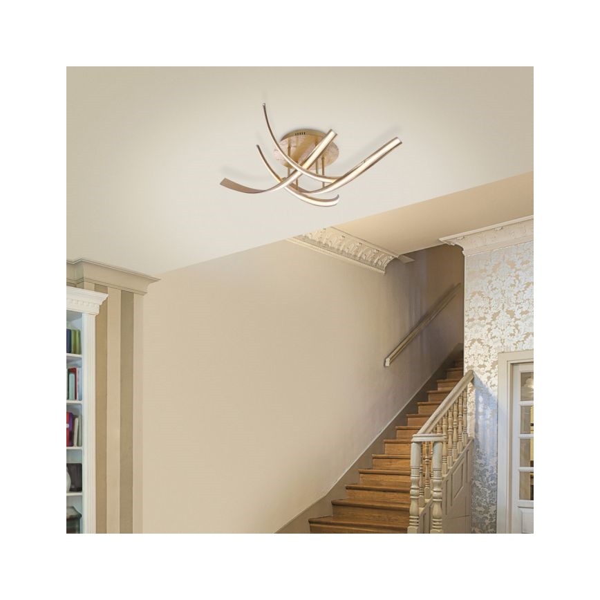 Paul Neuhaus 6474-12 - LED Hämardatav pinnale kinnitatav lühter LINDA 4xLED/7W/230V