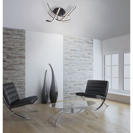 Paul Neuhaus 6474-48 - LED Hämardatav pinnale kinnitatav lühter LINDA 4xLED/7W/230V