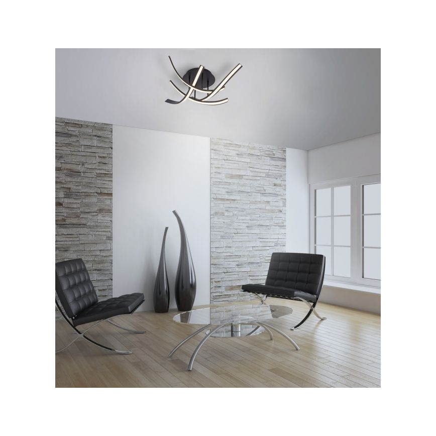 Paul Neuhaus 6474-48 - LED Hämardatav pinnale kinnitatav lühter LINDA 4xLED/7W/230V
