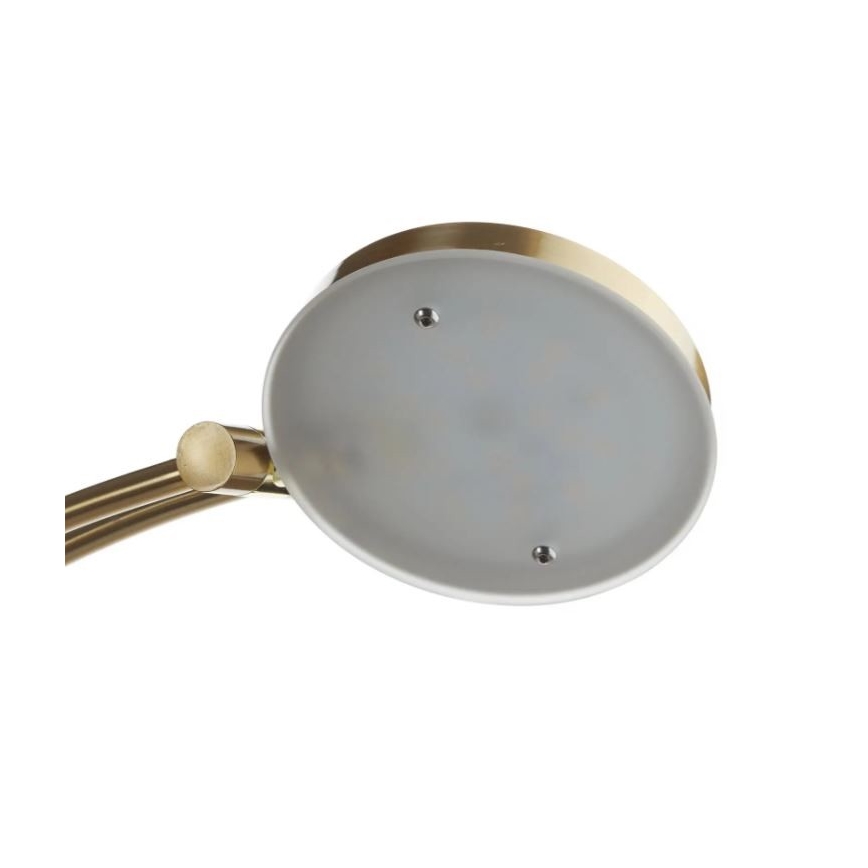 Paul Neuhaus 655-60 - LED-hämardatav põrandalamp ALFRED LED/28W/230V+LED/4W/230V messing