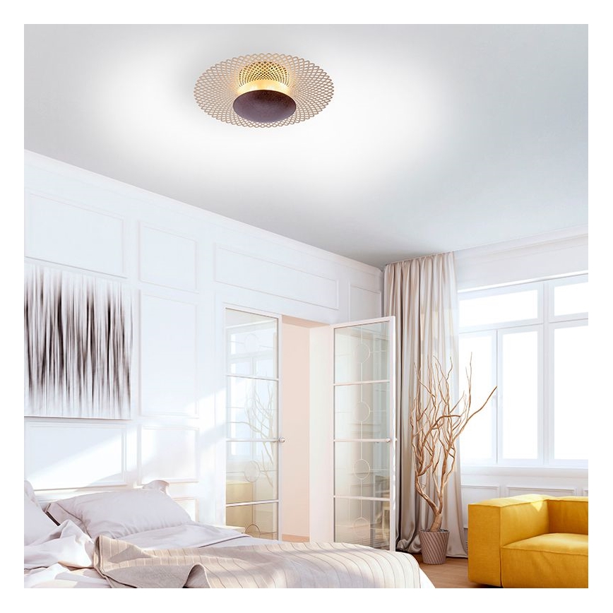 Paul Neuhaus 6551-48 - LED Hämardatav laevalgusti NEVIS LED/18W/230V