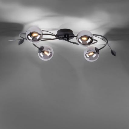 Paul Neuhaus 6724-18 - LED Pinnale kinnitatav lühter WIDOW 4xG9/3W/230V