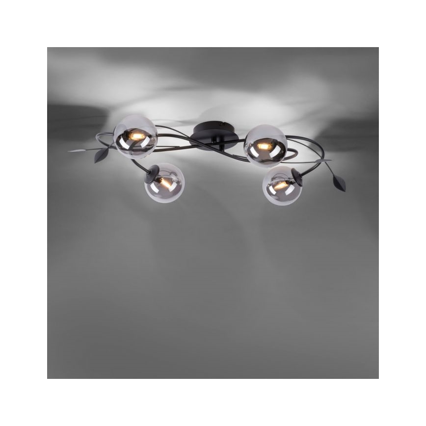 Paul Neuhaus 6724-18 - LED Pinnale kinnitatav lühter WIDOW 4xG9/3W/230V