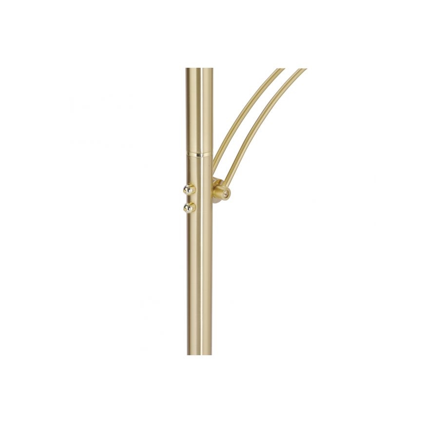 Paul Neuhaus 673-60 - Hämardatav LED-põrandalamp ARTUR 2xLED/21W/230V+LED/6W kuldne