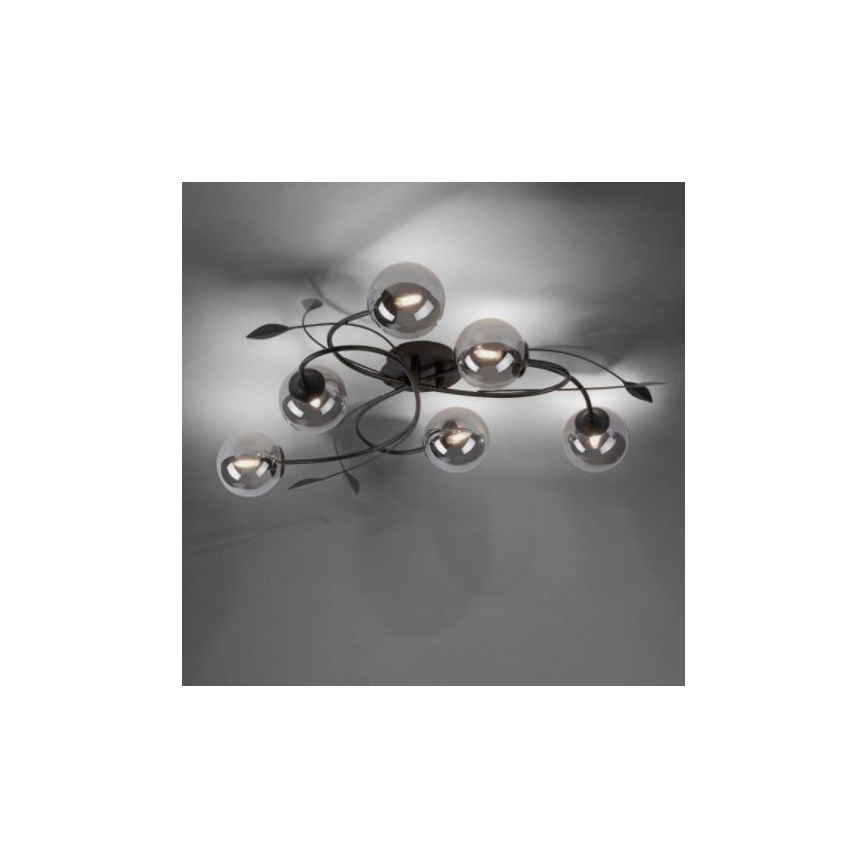 Paul Neuhaus 6737-18 - LED Pinnale kinnitatav lühter WIDOW 6xG9/3W/230V